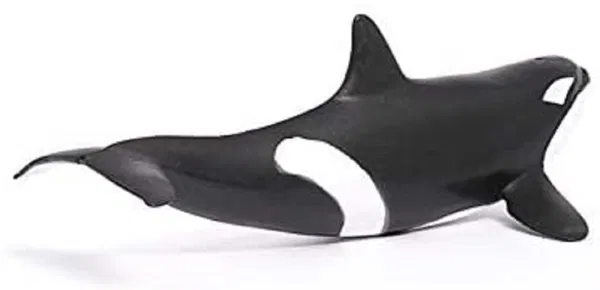 662-0247 Product Image 4