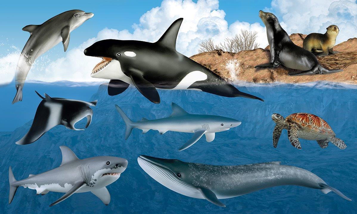 662-0247 Product Image 5