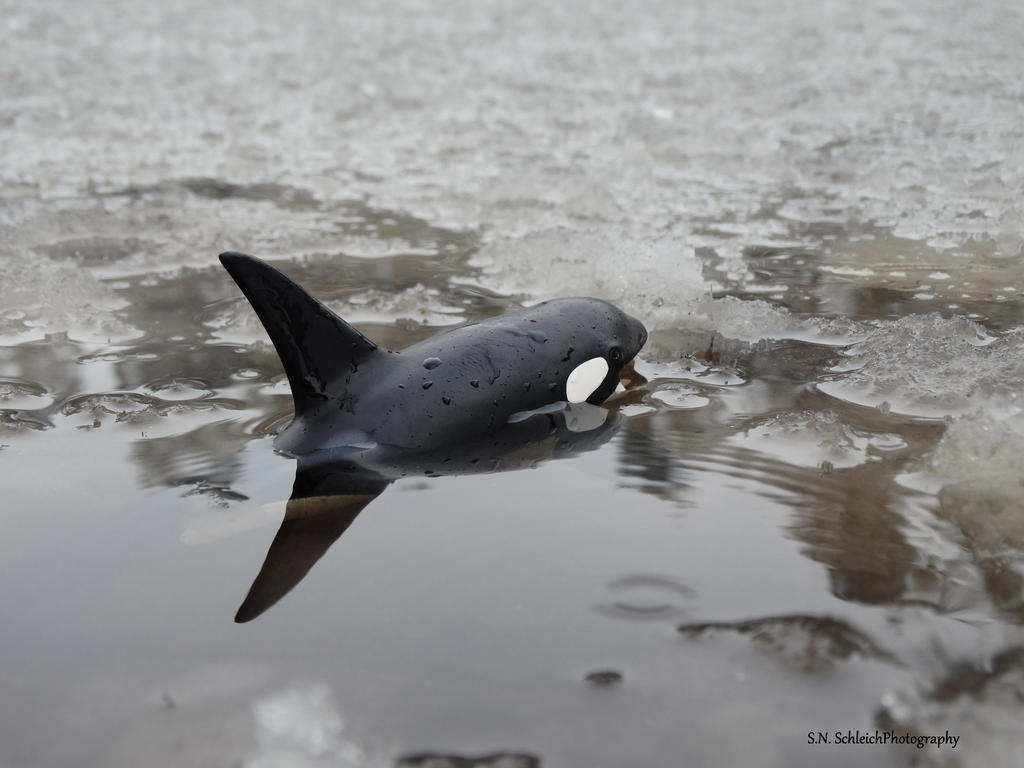 662-0247 Product Image 6