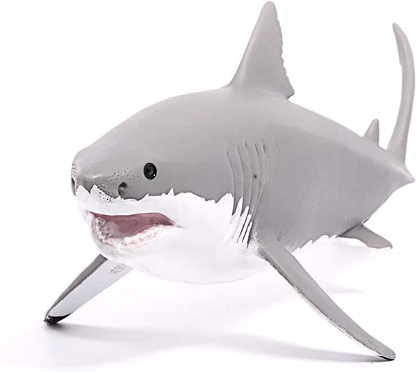662-0249 Product Image 3