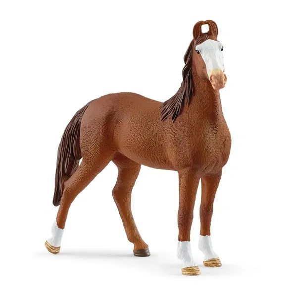 662-0250 Product Image 1