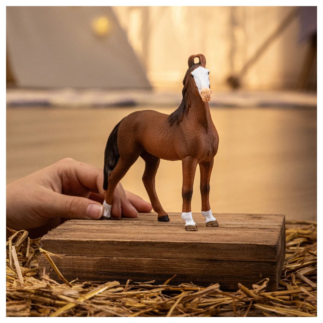 662-0250 Product Image 2