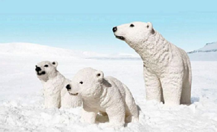 662-0255 Product Image 6