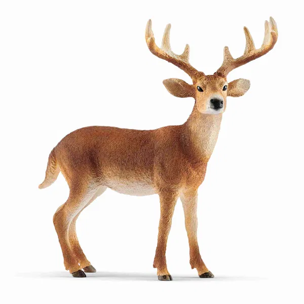 662-0256 Product Image 1