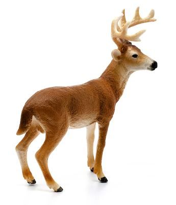 662-0256 Product Image 4