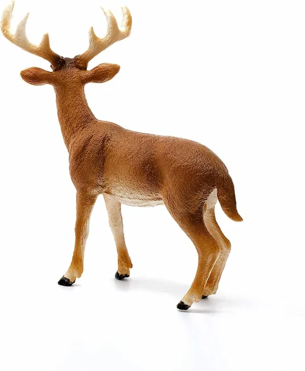 662-0256 Product Image 4