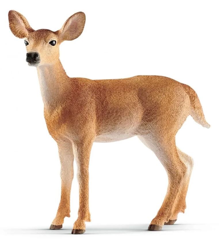 Product 662-0257 - View 2 662-0257 Product Image 2