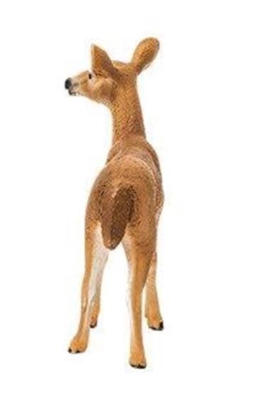 Product 662-0257 - View 6 662-0257 Product Image 6