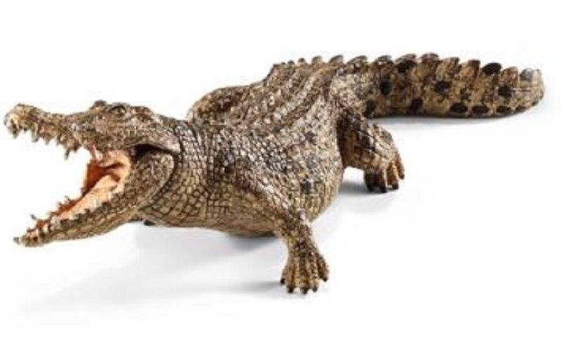 Product 662-0271 - View 2 662-0271 Product Image 2