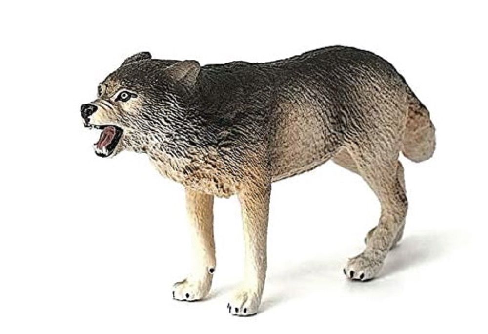 662-0274 Product Image 5