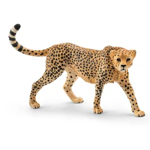 Cheetah, Female
