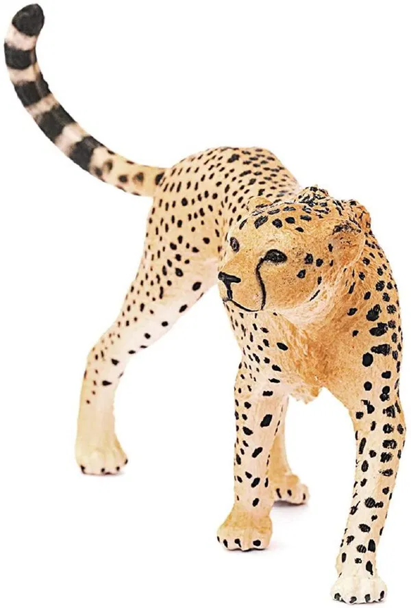 662-0278 Product Image 2