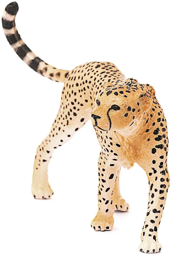 662-0278 Product Image 3