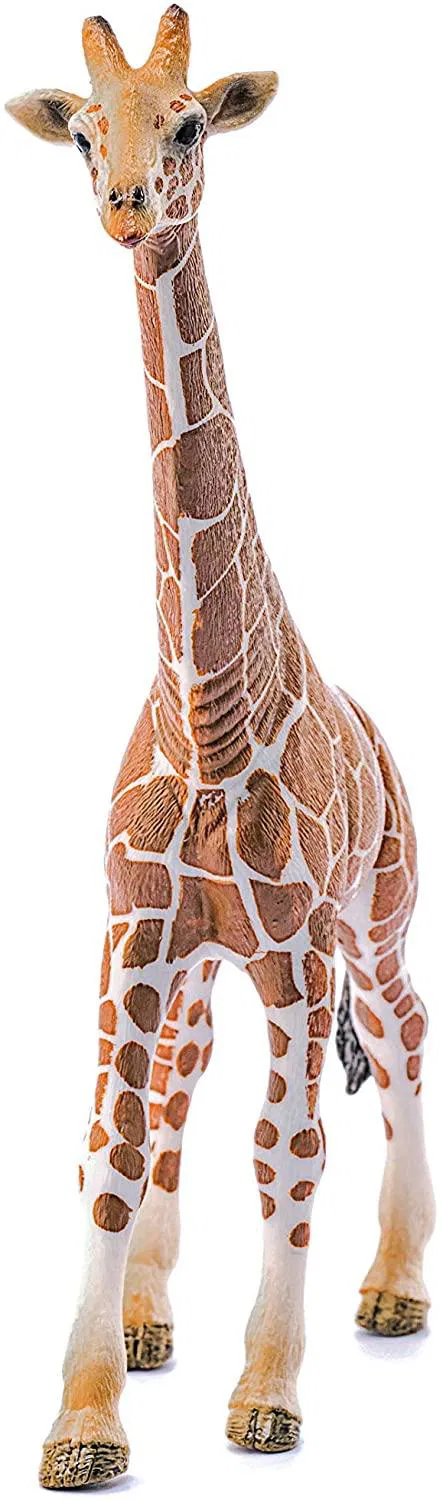 662-0280 Product Image 3