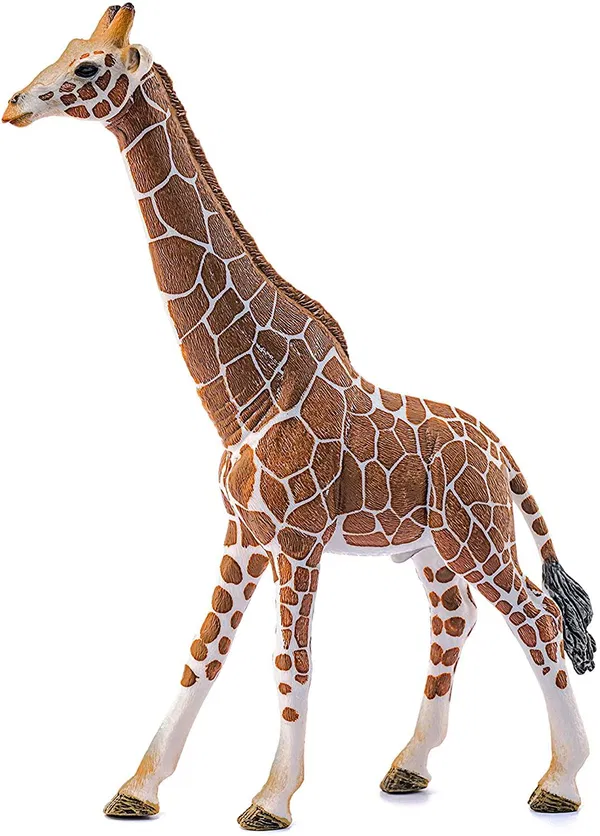 662-0280 Product Image 4