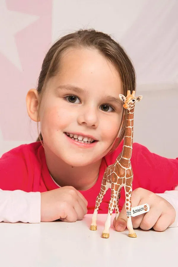 662-0280 Product Image 5