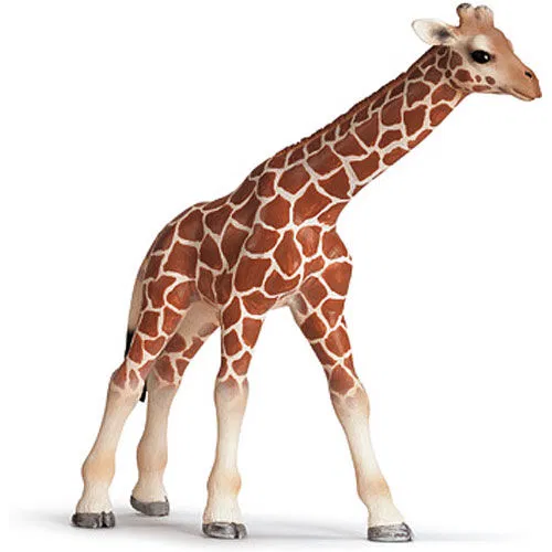 662-0281 Product Image 2