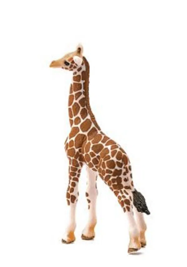 662-0281 Product Image 3