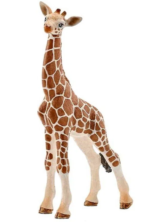 662-0281 Product Image 4