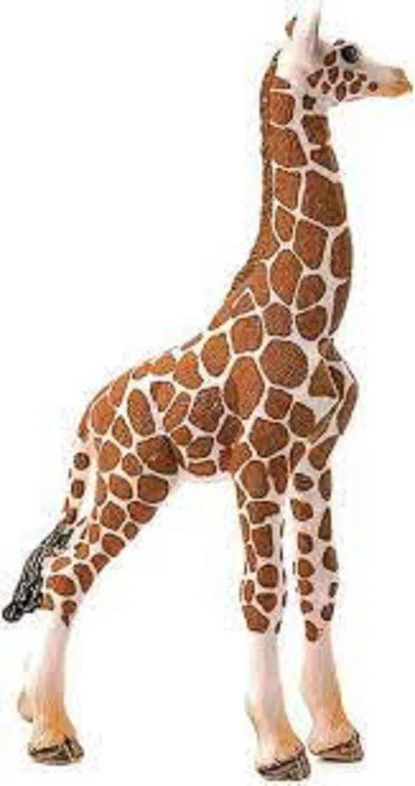 662-0281 Product Image 5