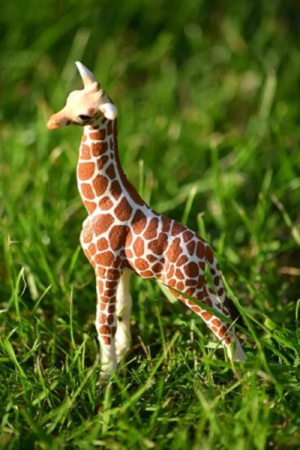 662-0281 Product Image 6