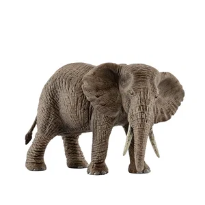 African Elephant, Female