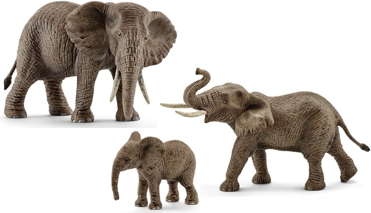 Product 662-0284 - View 6 662-0284 Product Image 6