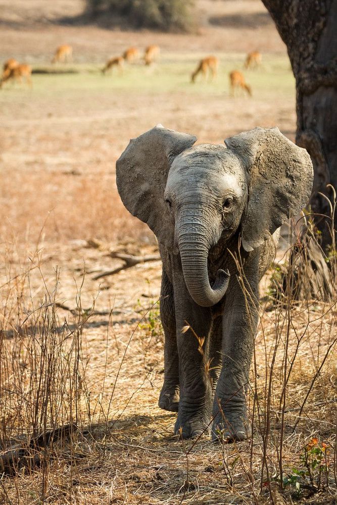 Product 662-0284 - View 7 662-0284 Product Image 7