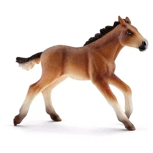 Mustang Foal