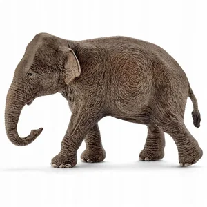 Asian Elephant, Female