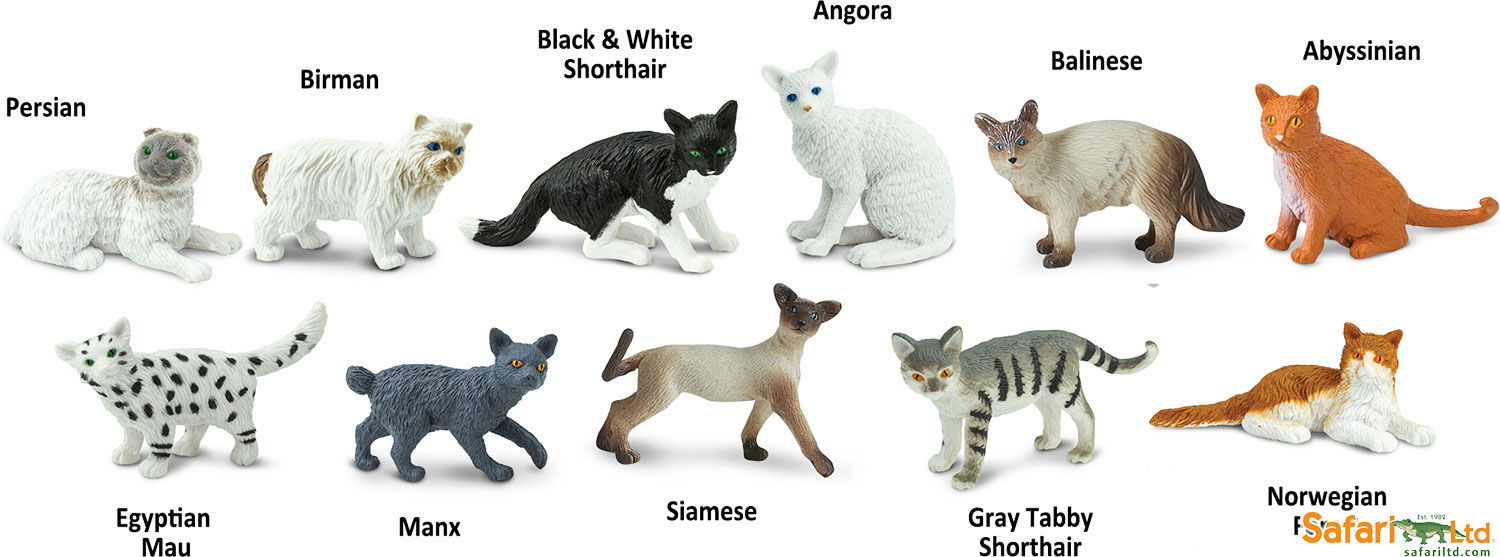 Product 662-0402 - View 2 662-0402 Product Image 2