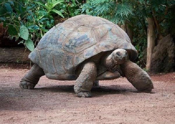 662-0418 Product Image 6