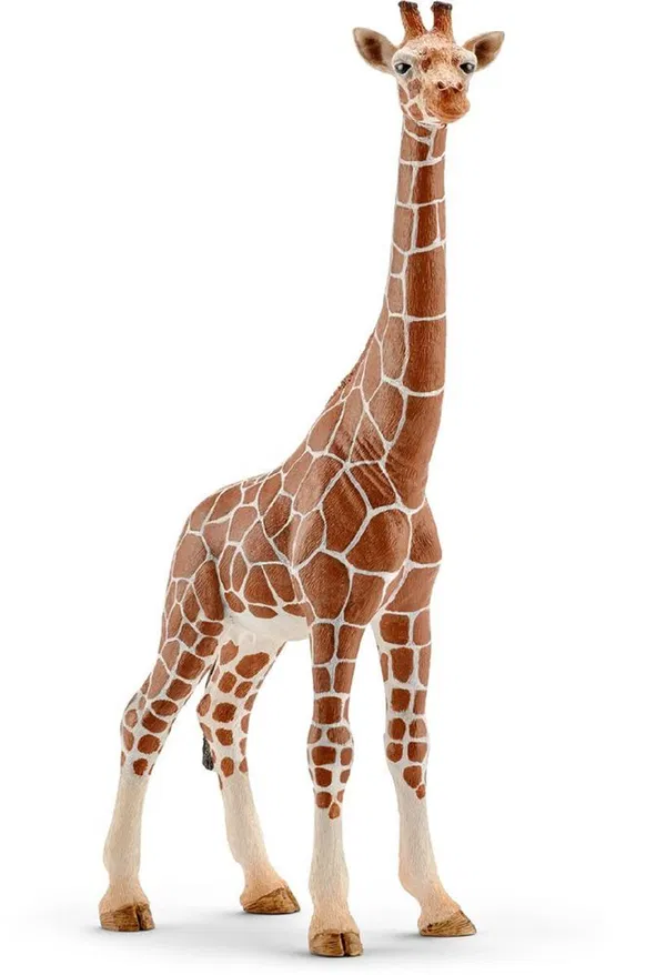 662-0420 Product Image 1