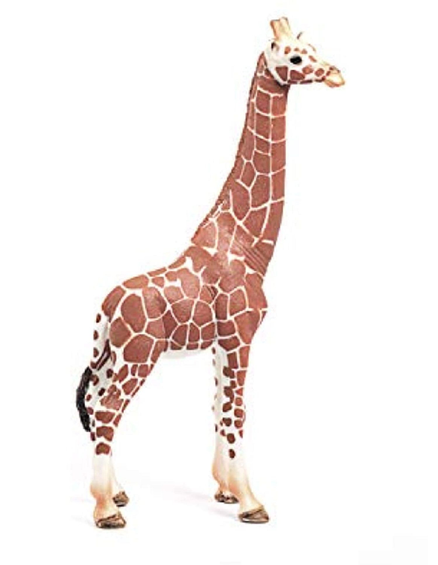 662-0420 Product Image 2