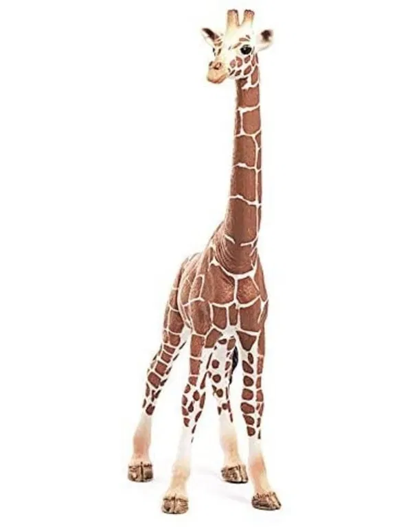 662-0420 Product Image 3