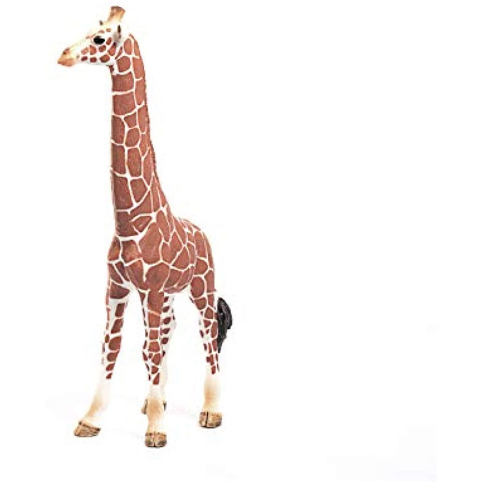 662-0420 Product Image 4