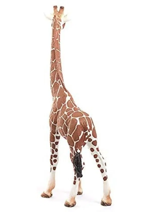 662-0420 Product Image 5