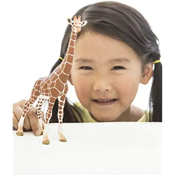 662-0420 Product Image 7