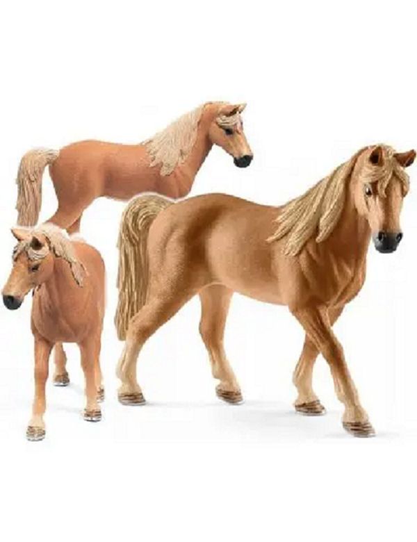 662-0442 Product Image 4