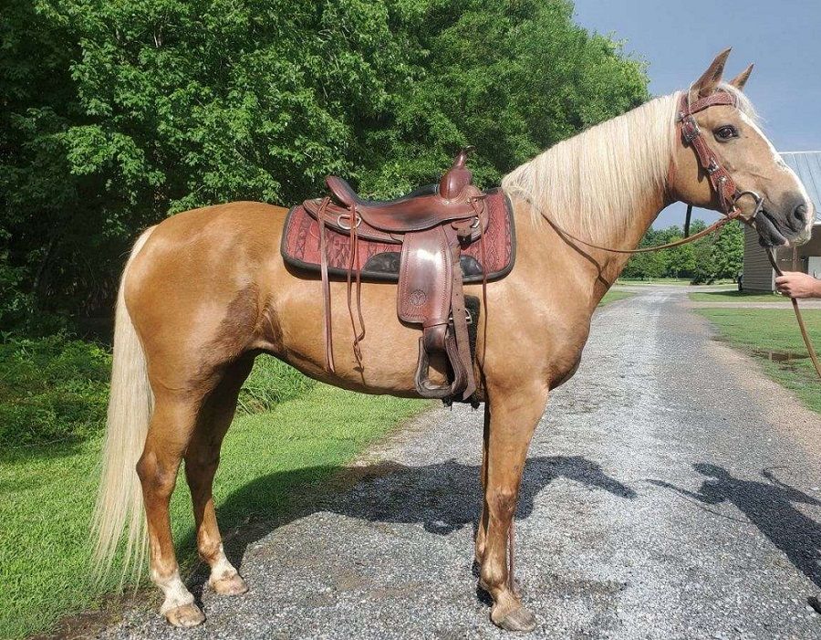 662-0442 Product Image 6