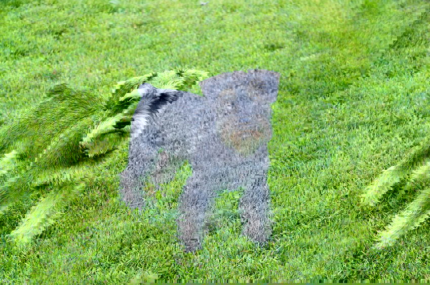 662-0444 Product Image 6