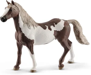 Paint Horse Gelding