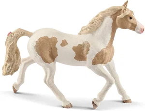 Paint Horse Mare