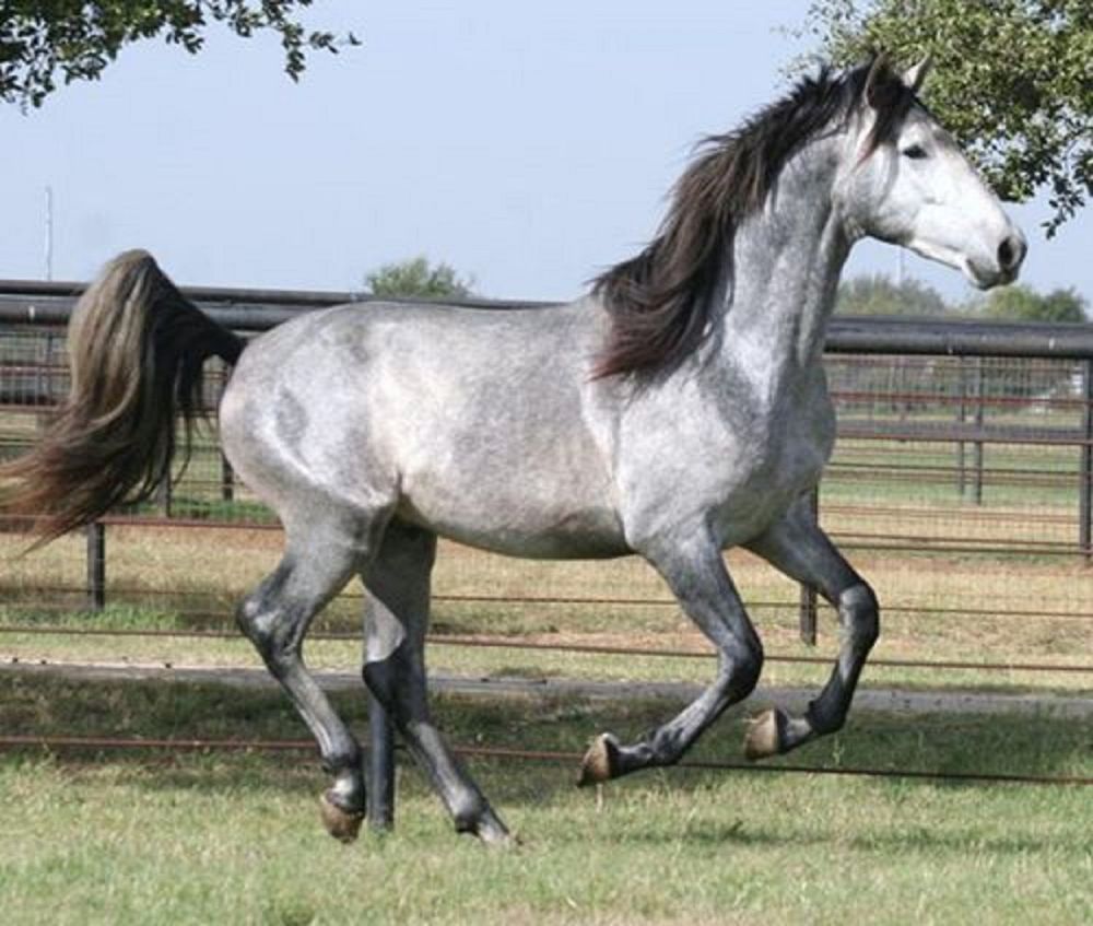 662-0452 Product Image 5