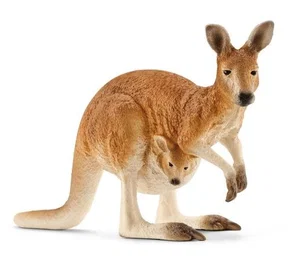 Kangaroo
