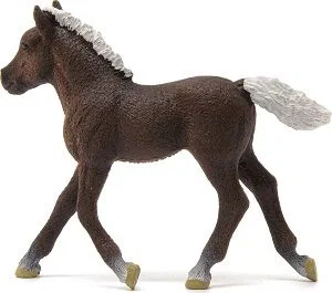 Black Forest Foal