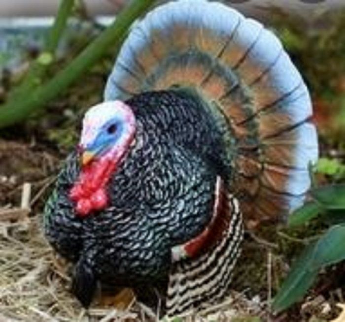 662-0472 Product Image 6