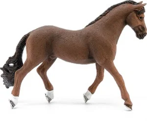 Trakehner Gelding