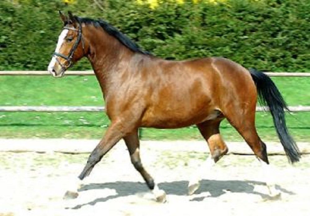 662-0474 Product Image 5