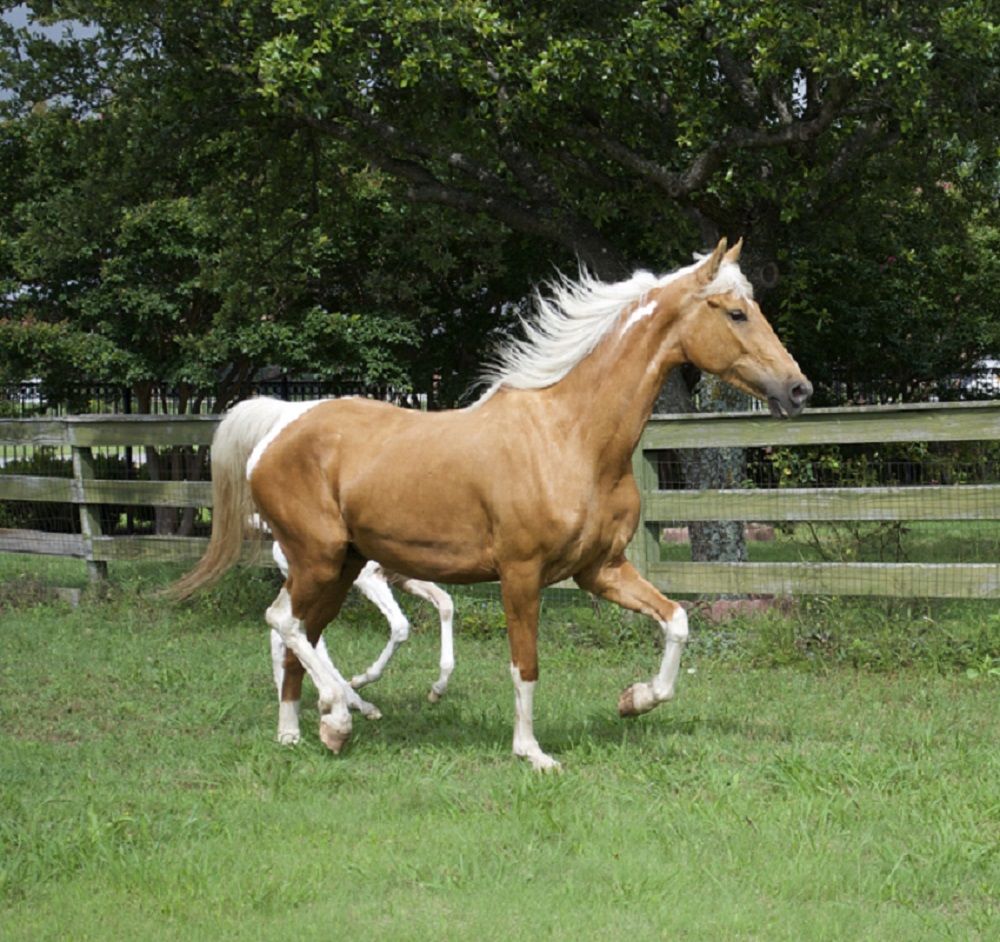 662-0476 Product Image 5